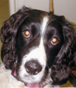 Station Mascot